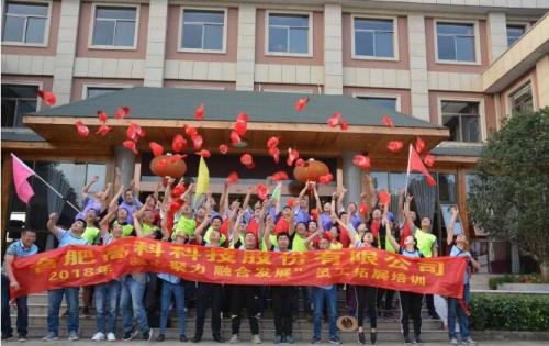 “凝心聚力融合发展”员工拓展活动圆满实现